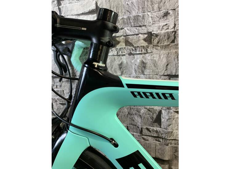 Kopie von Bianchi Aria Campagnolo Chorus 2021