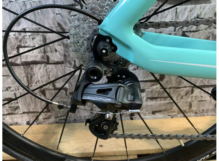 Kopie von Bianchi Aria Campagnolo Chorus 2021
