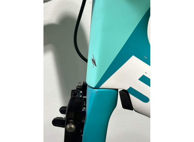 Bianchi AQUILA CV Time Trial Carbon - FRAMESET - 2023 XC L (Paint damage)