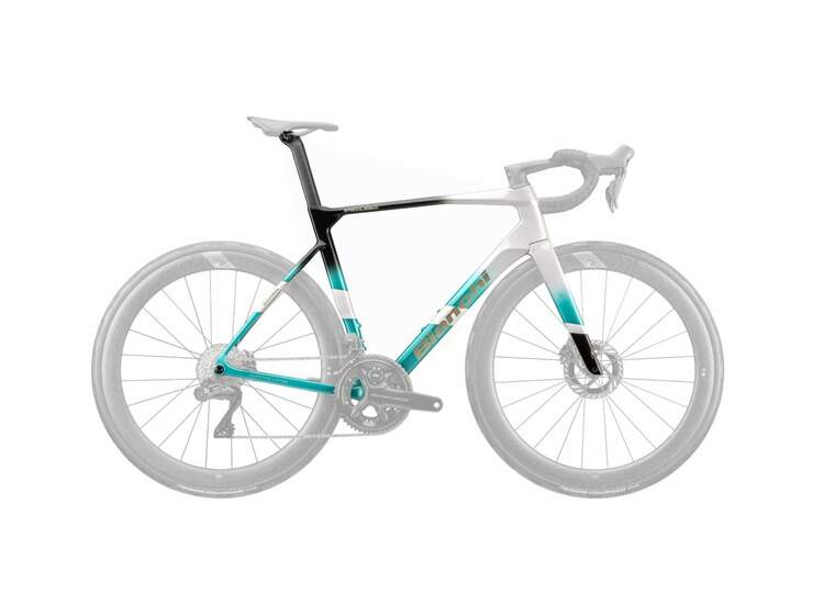 Bianchi SPECIALISSIMA RC FRAMESET- 2027