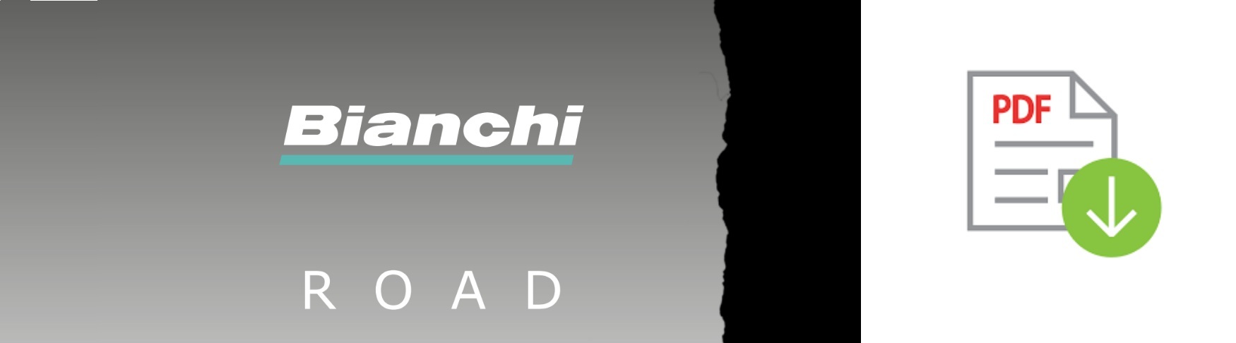 Bianchi Rennrad PDF